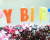google-birthday-cake
